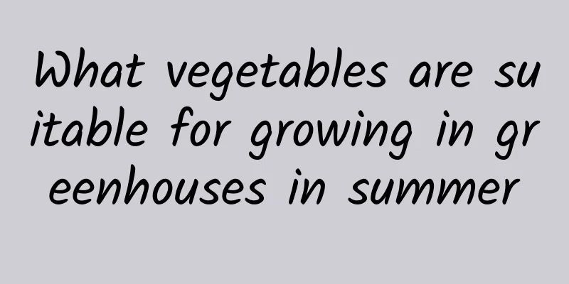 What vegetables are suitable for growing in greenhouses in summer