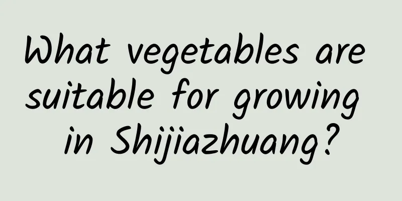 What vegetables are suitable for growing in Shijiazhuang?
