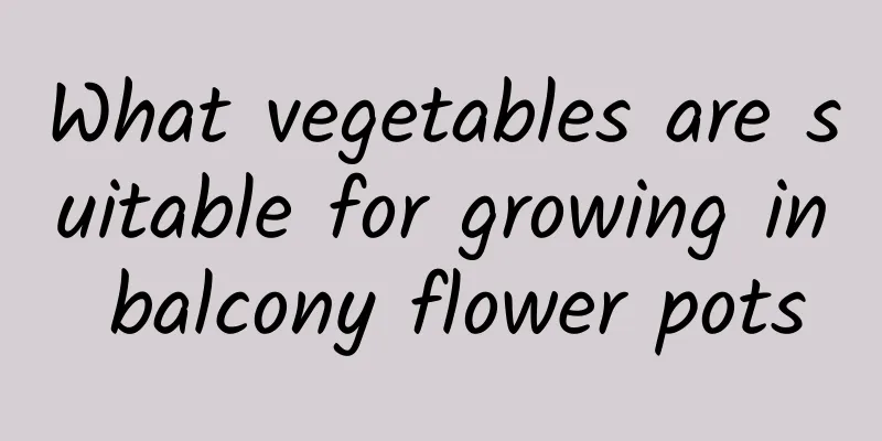 What vegetables are suitable for growing in balcony flower pots