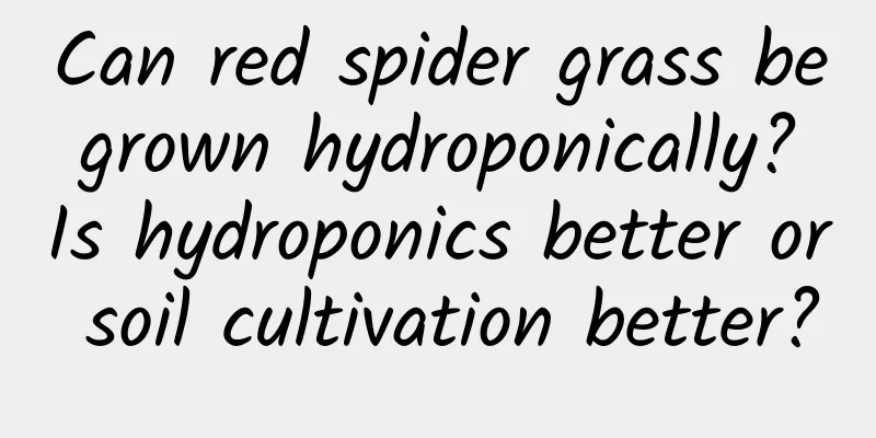 Can red spider grass be grown hydroponically? Is hydroponics better or soil cultivation better?