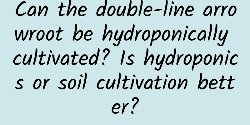 Can the double-line arrowroot be hydroponically cultivated? Is hydroponics or soil cultivation better?