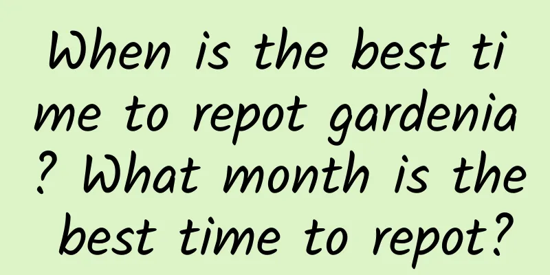 When is the best time to repot gardenia? What month is the best time to repot?