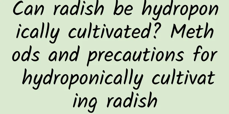 Can radish be hydroponically cultivated? Methods and precautions for hydroponically cultivating radish