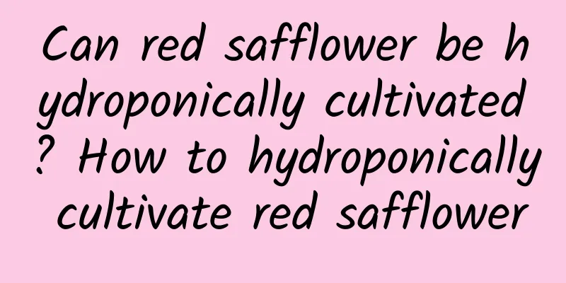 Can red safflower be hydroponically cultivated? How to hydroponically cultivate red safflower