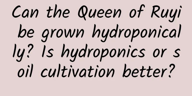 Can the Queen of Ruyi be grown hydroponically? Is hydroponics or soil cultivation better?
