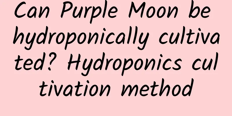Can Purple Moon be hydroponically cultivated? Hydroponics cultivation method