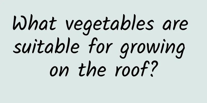 What vegetables are suitable for growing on the roof?