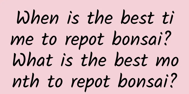 When is the best time to repot bonsai? What is the best month to repot bonsai?