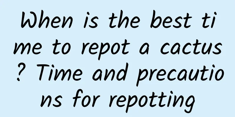 When is the best time to repot a cactus? Time and precautions for repotting