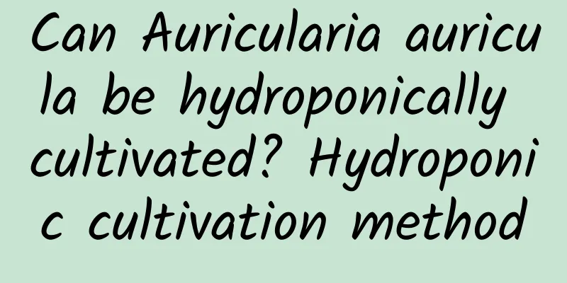 Can Auricularia auricula be hydroponically cultivated? Hydroponic cultivation method