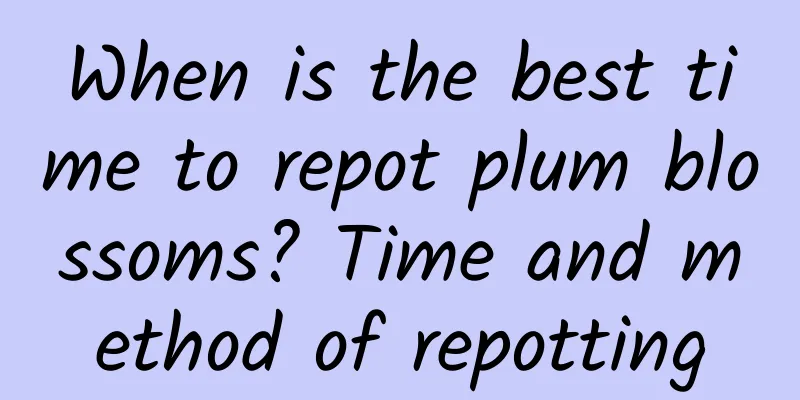 When is the best time to repot plum blossoms? Time and method of repotting