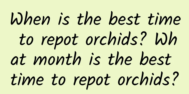 When is the best time to repot orchids? What month is the best time to repot orchids?