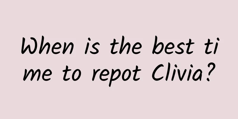When is the best time to repot Clivia?
