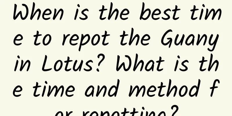 When is the best time to repot the Guanyin Lotus? What is the time and method for repotting?