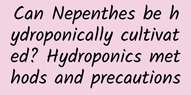 Can Nepenthes be hydroponically cultivated? Hydroponics methods and precautions