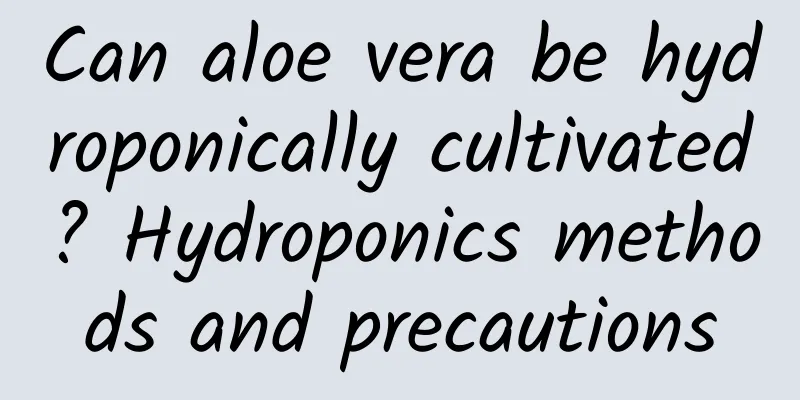 Can aloe vera be hydroponically cultivated? Hydroponics methods and precautions