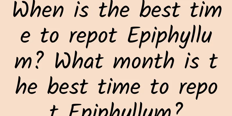 When is the best time to repot Epiphyllum? What month is the best time to repot Epiphyllum?