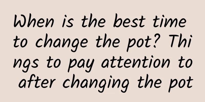 When is the best time to change the pot? Things to pay attention to after changing the pot