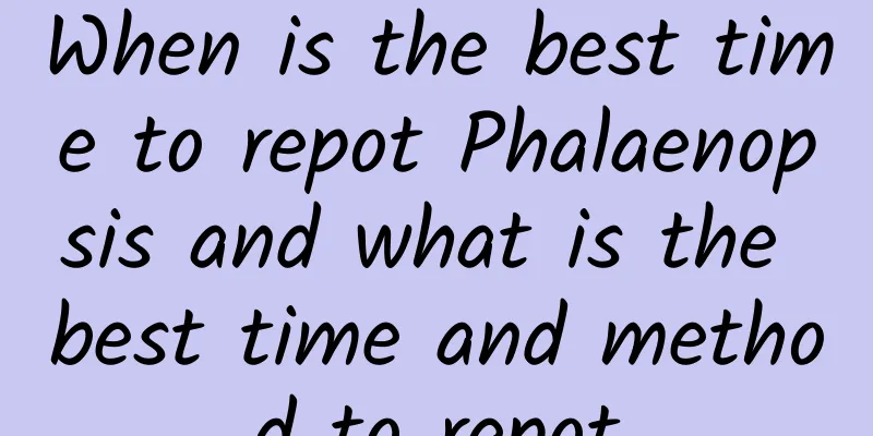 When is the best time to repot Phalaenopsis and what is the best time and method to repot