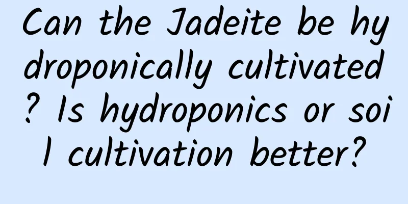 Can the Jadeite be hydroponically cultivated? Is hydroponics or soil cultivation better?