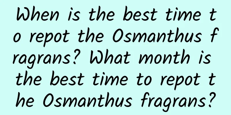 When is the best time to repot the Osmanthus fragrans? What month is the best time to repot the Osmanthus fragrans?