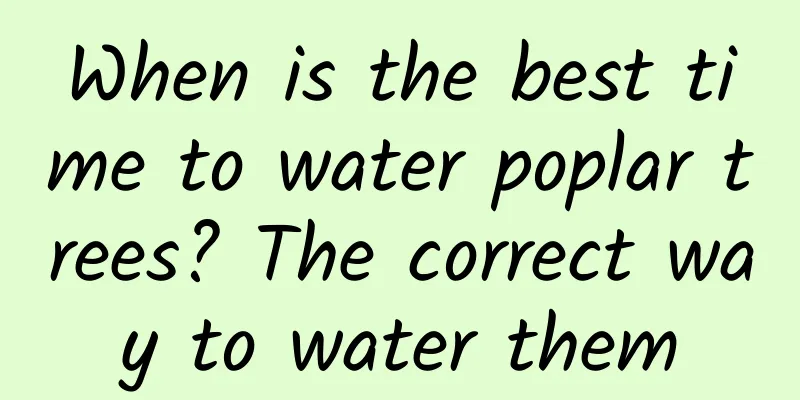 When is the best time to water poplar trees? The correct way to water them