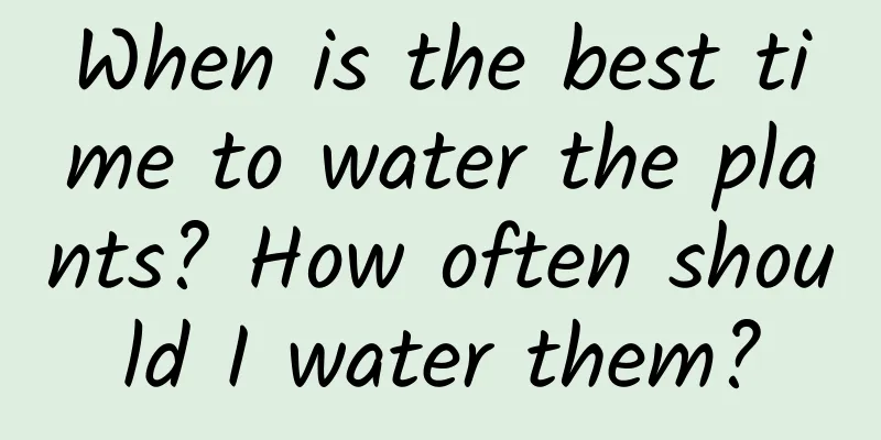 When is the best time to water the plants? How often should I water them?