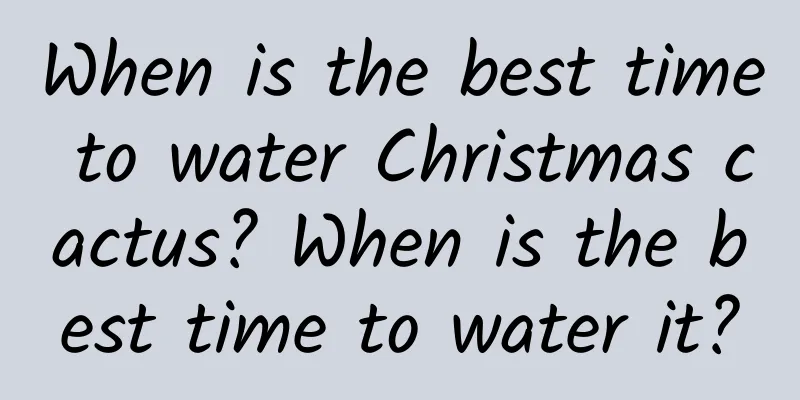 When is the best time to water Christmas cactus? When is the best time to water it?