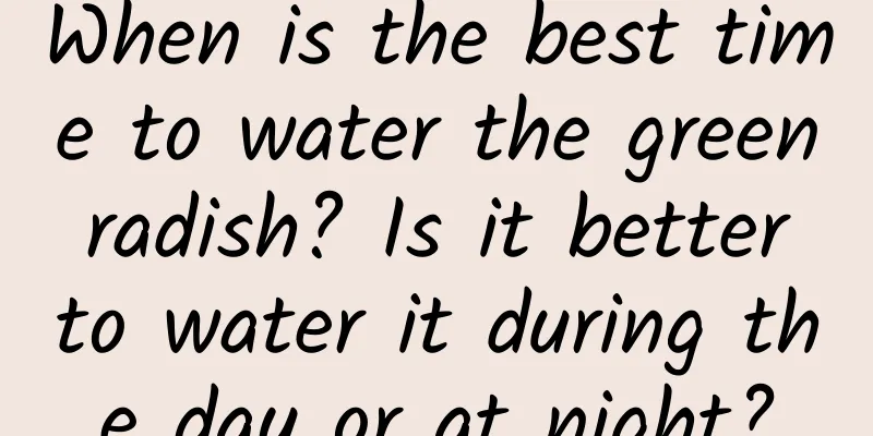 When is the best time to water the green radish? Is it better to water it during the day or at night?