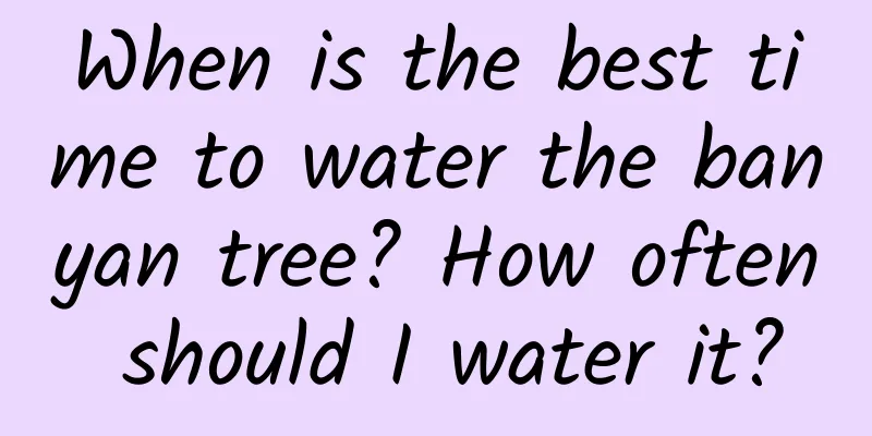 When is the best time to water the banyan tree? How often should I water it?