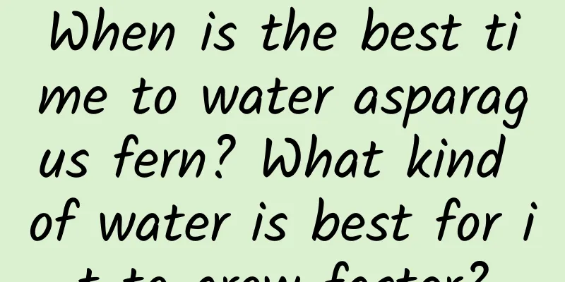 When is the best time to water asparagus fern? What kind of water is best for it to grow faster?