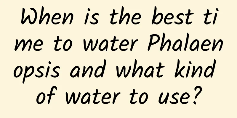 When is the best time to water Phalaenopsis and what kind of water to use?