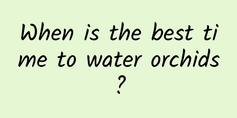 When is the best time to water orchids?
