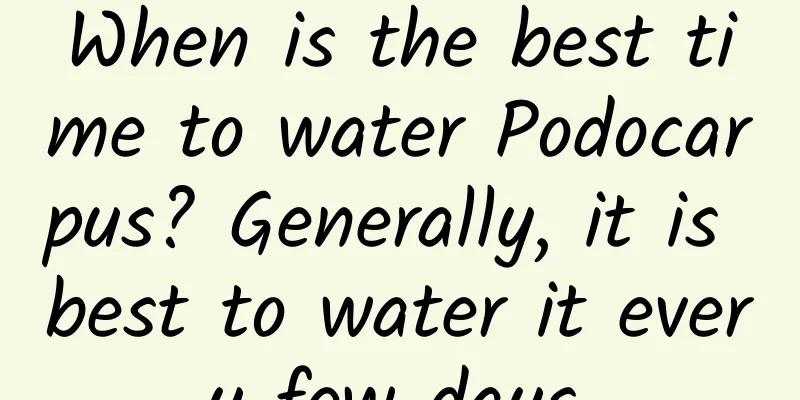 When is the best time to water Podocarpus? Generally, it is best to water it every few days.