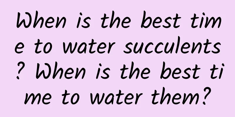 When is the best time to water succulents? When is the best time to water them?