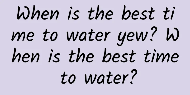 When is the best time to water yew? When is the best time to water?