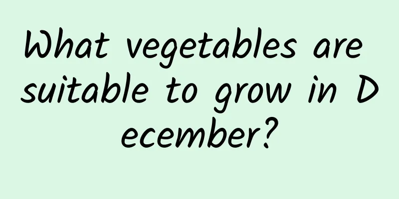 What vegetables are suitable to grow in December?