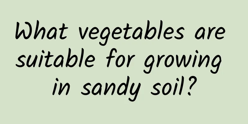 What vegetables are suitable for growing in sandy soil?
