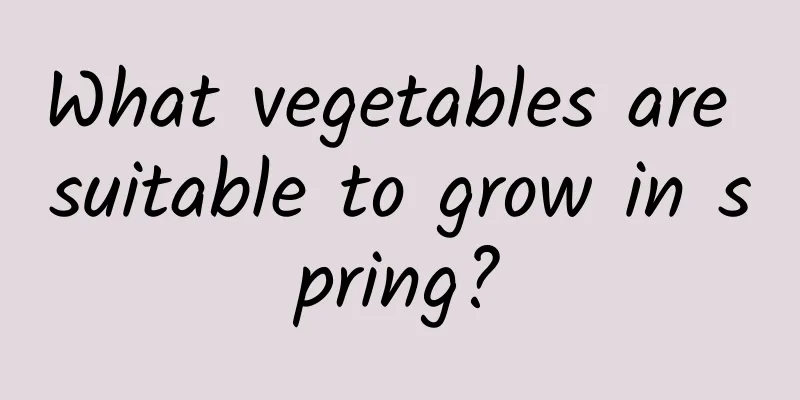 What vegetables are suitable to grow in spring?