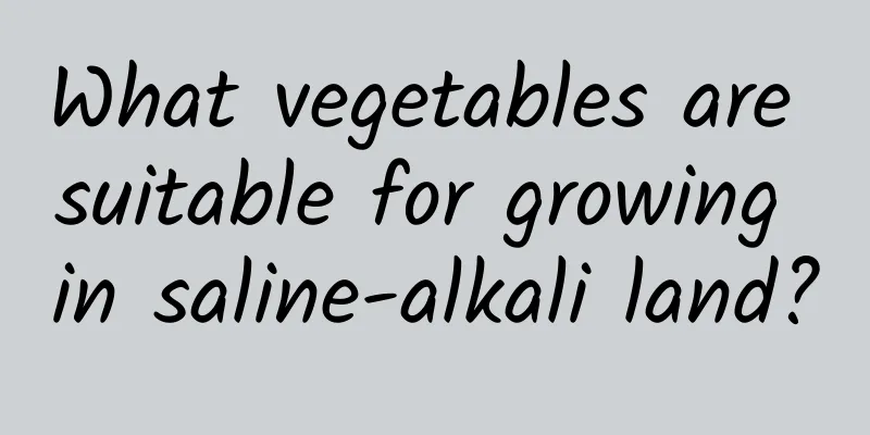 What vegetables are suitable for growing in saline-alkali land?