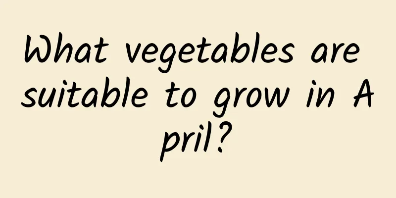 What vegetables are suitable to grow in April?