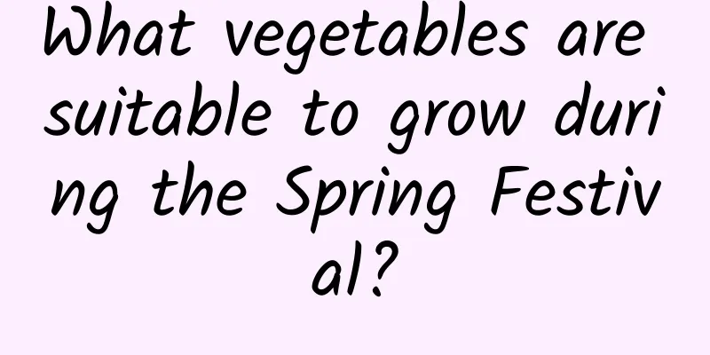 What vegetables are suitable to grow during the Spring Festival?