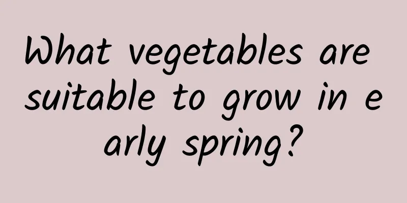 What vegetables are suitable to grow in early spring?