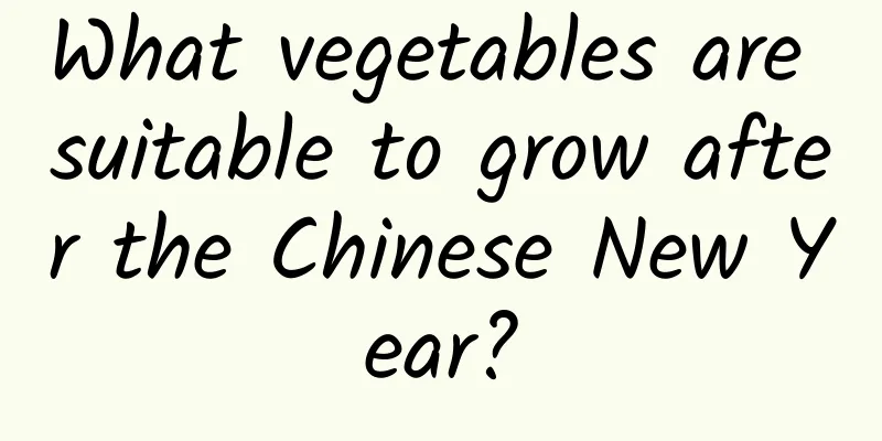 What vegetables are suitable to grow after the Chinese New Year?