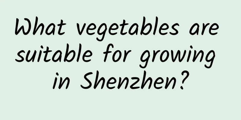 What vegetables are suitable for growing in Shenzhen?
