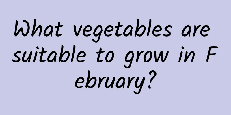 What vegetables are suitable to grow in February?