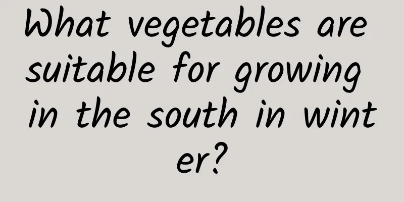 What vegetables are suitable for growing in the south in winter?