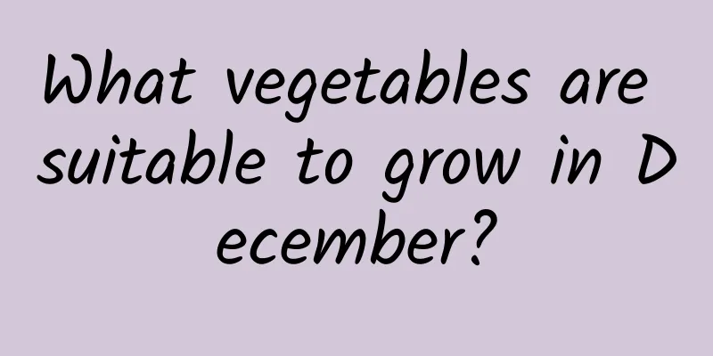 What vegetables are suitable to grow in December?