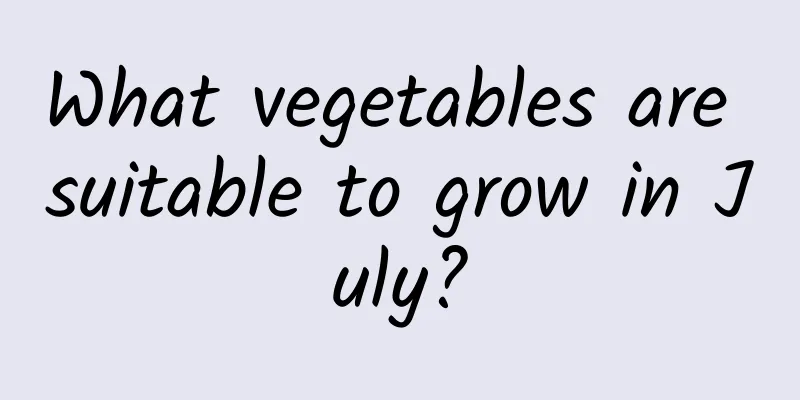 What vegetables are suitable to grow in July?