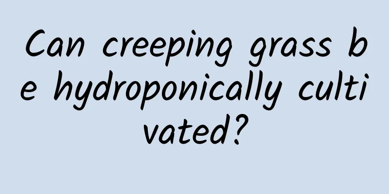 Can creeping grass be hydroponically cultivated?